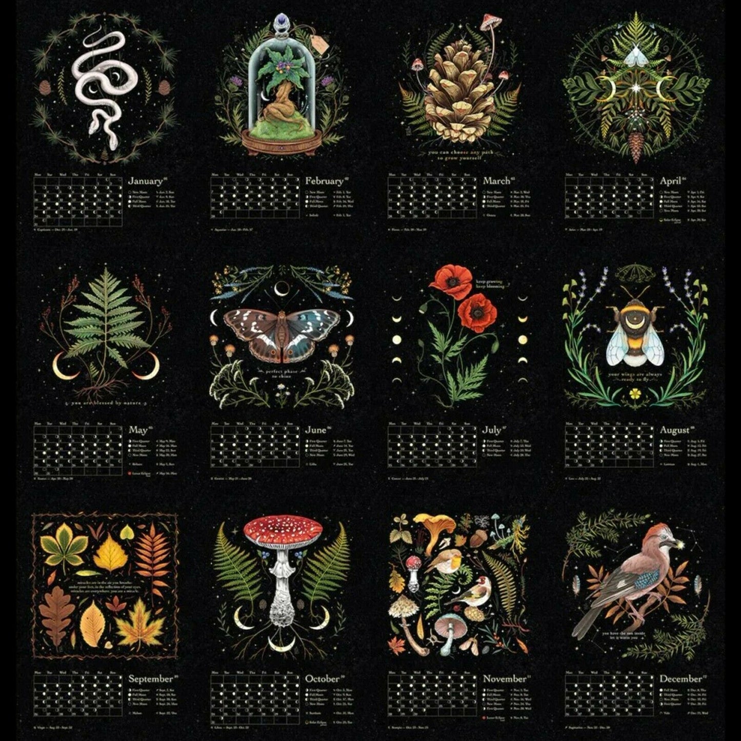 2022 Dark Forest Månkalender