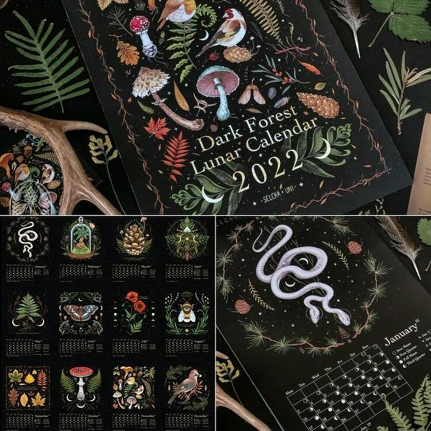 2022 Dark Forest Månkalender